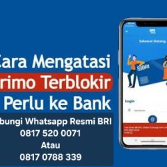 Begini Solusi Cara untuk Reset Password BRImo Yang Terblokir Tampa perlu ke Bank