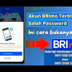 Cara Mudah Atasi lupa Pin BRImo Cukup Lewat Hp, Tanpa ke cabang
