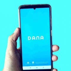Customer Dana care